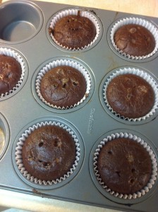 Paleo Chocolate Coconut Flour Cupcakes